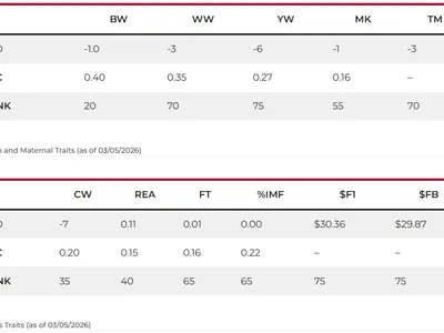 cattle listing photo