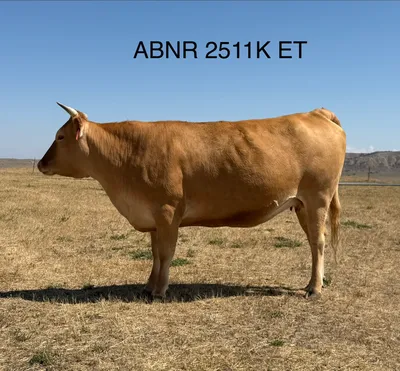 cattle listing photo