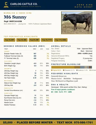 cattle listing photo