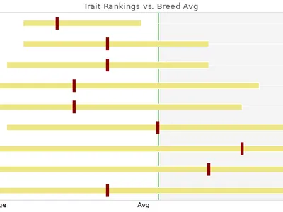 cattle listing photo