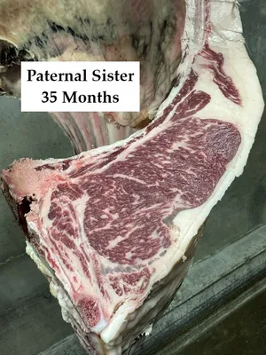 cattle listing photo