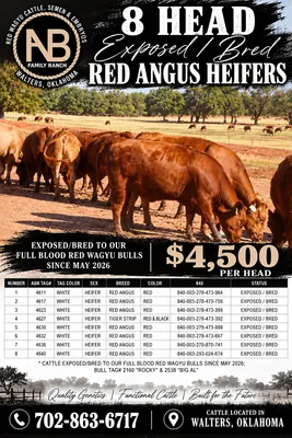 cattle listing photo