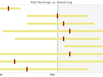 cattle listing photo