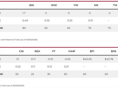cattle listing photo