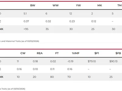 cattle listing photo