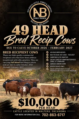 cattle listing photo