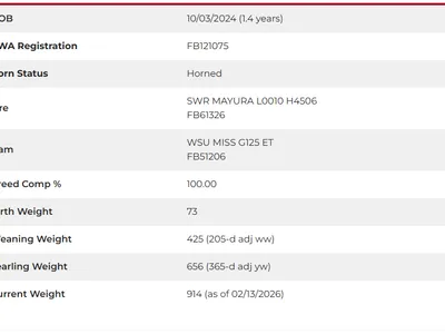 cattle listing photo