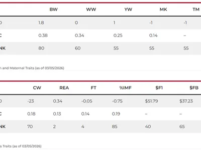 cattle listing photo