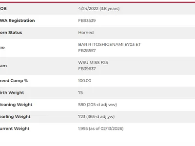 cattle listing photo