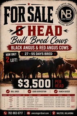 cattle listing photo