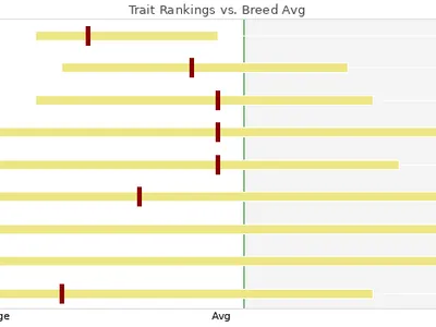 cattle listing photo