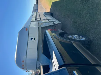 cattle listing photo