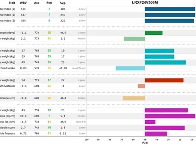 cattle listing photo
