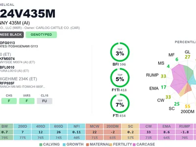 cattle listing photo