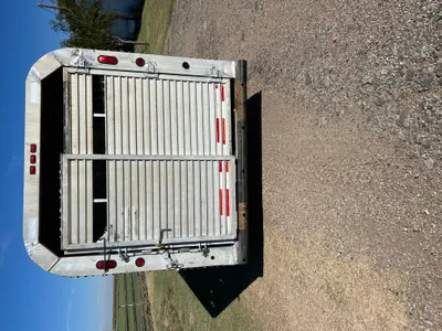 cattle listing photo