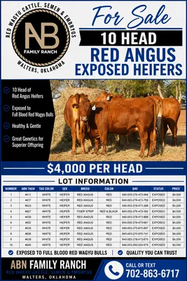 cattle listing photo
