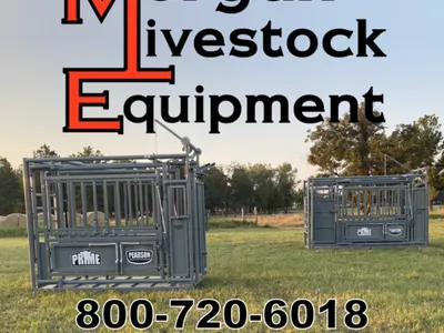 cattle listing photo