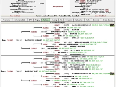 cattle listing photo