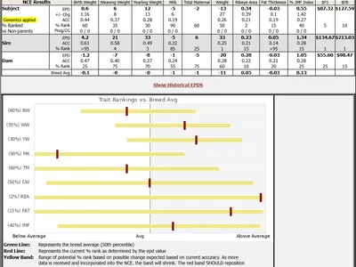 cattle listing photo