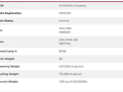 cattle listing photo