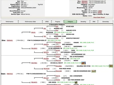 cattle listing photo