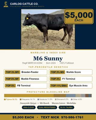 cattle listing photo
