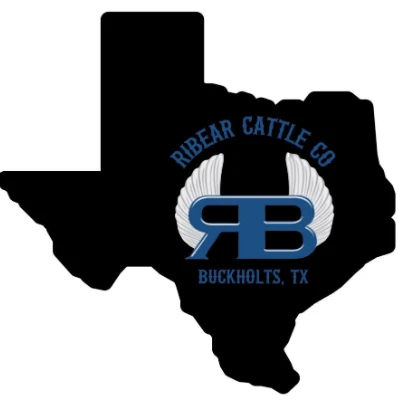 cattle listing photo