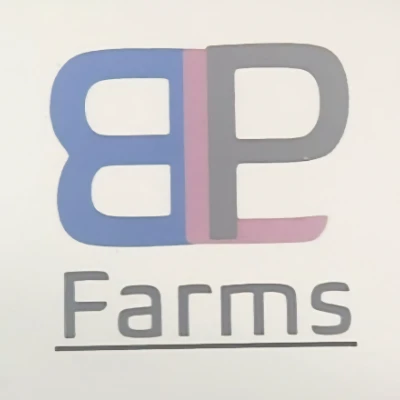 cattle listing photo