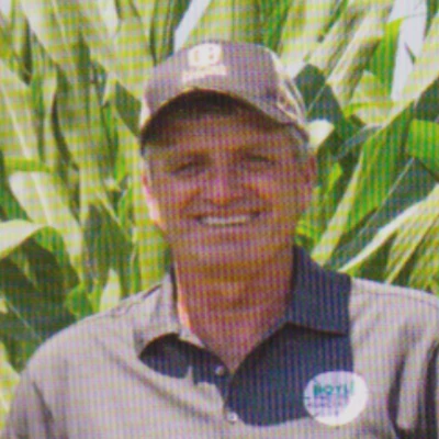 cattle listing photo