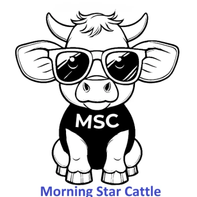 cattle listing photo