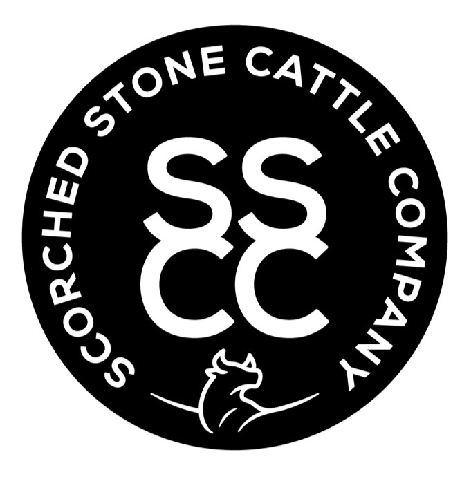 cattle listing photo