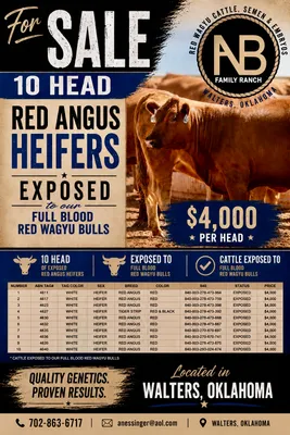cattle listing photo