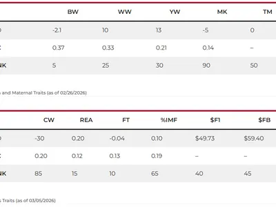 cattle listing photo