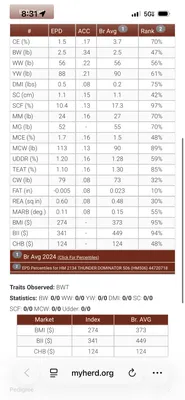 cattle listing photo