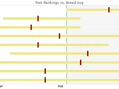 cattle listing photo