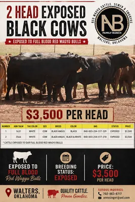 cattle listing photo
