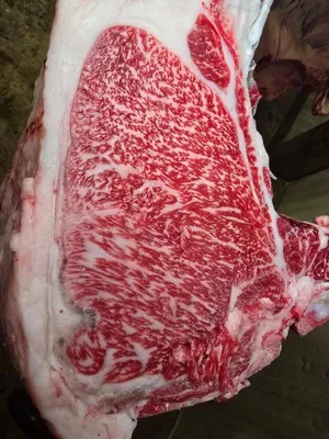 cattle listing photo