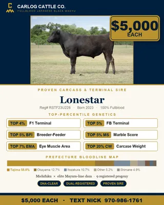 cattle listing photo