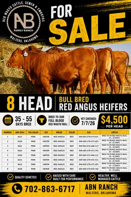 cattle listing photo