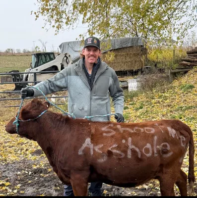 cattle listing photo