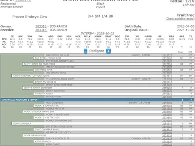 cattle listing photo