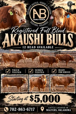 cattle listing photo