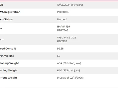 cattle listing photo