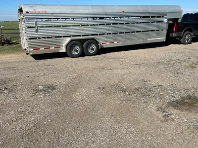 cattle listing photo