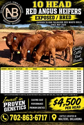 cattle listing photo