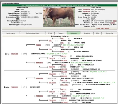 cattle listing photo