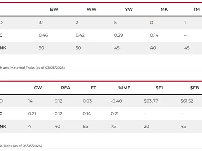 cattle listing photo