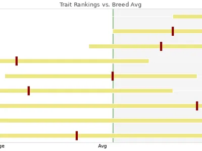 cattle listing photo